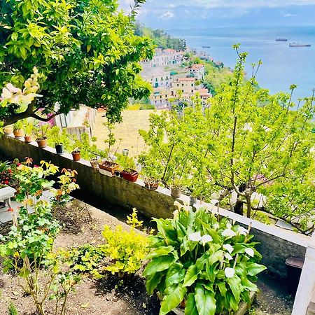 Borgo Virginia - Sea View In Amalfi Coast Apartment Vietri Екстериор снимка