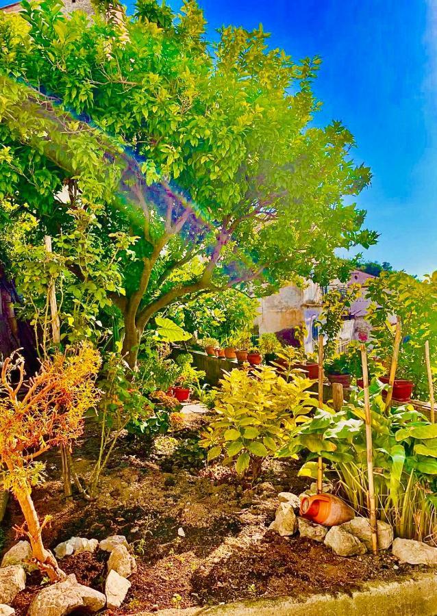 Borgo Virginia - Sea View In Amalfi Coast Apartment Vietri Екстериор снимка