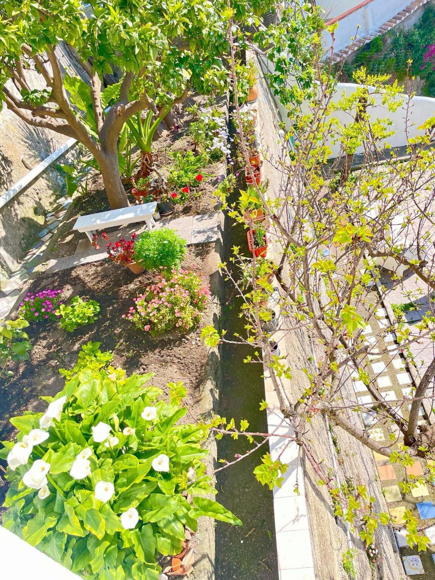 Borgo Virginia - Sea View In Amalfi Coast Apartment Vietri Екстериор снимка